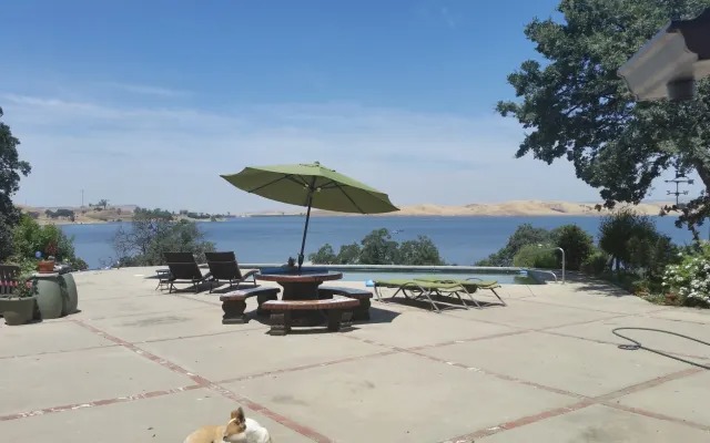 Patio lounge chairs and umbrella overlooking the lake, with a resident dog