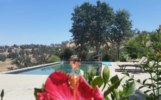 Pool deck with a hibiscus flower in the foreground and golden foothills beyond