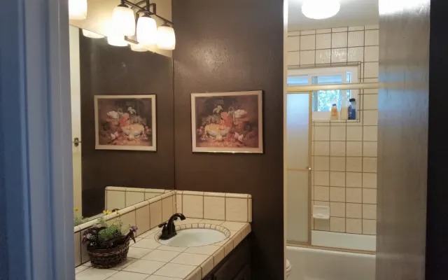 Tiled shower and vanity